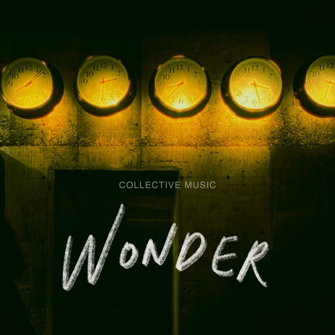 Wonder cover